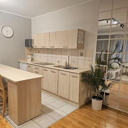דירה Rema W Centrum Apartzakop זקופאנה