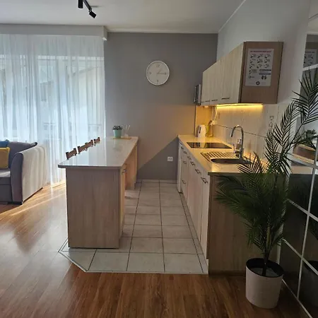 Rema W Centrum Apartzakop Zakopane