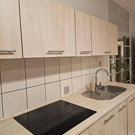 Appartement Rema W Centrum Apartzakop