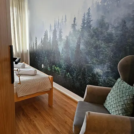 Rema W Centrum Apartzakop * זקופאנה