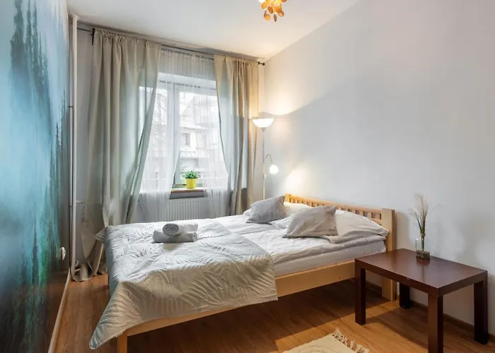 شقة Rema W Centrum Apartzakop زاكوباني