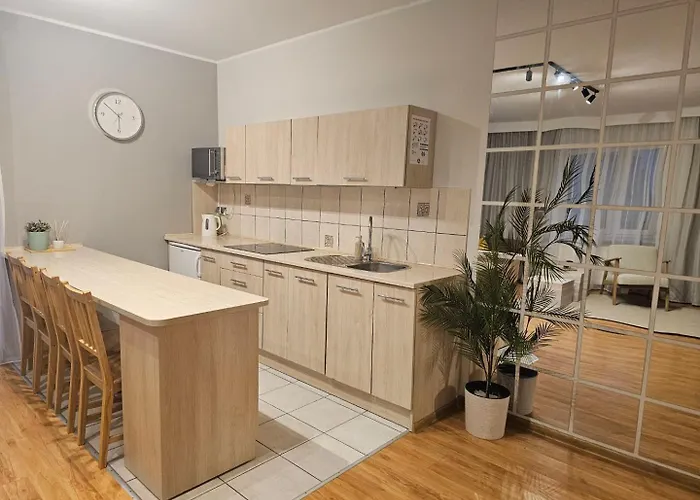 شقة Rema W Centrum Apartzakop زاكوباني