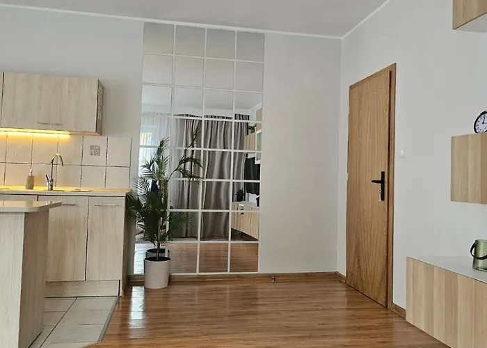 شقة Rema W Centrum Apartzakop زاكوباني